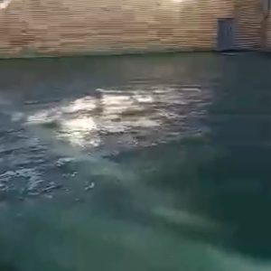 بهترین خشکه پاش